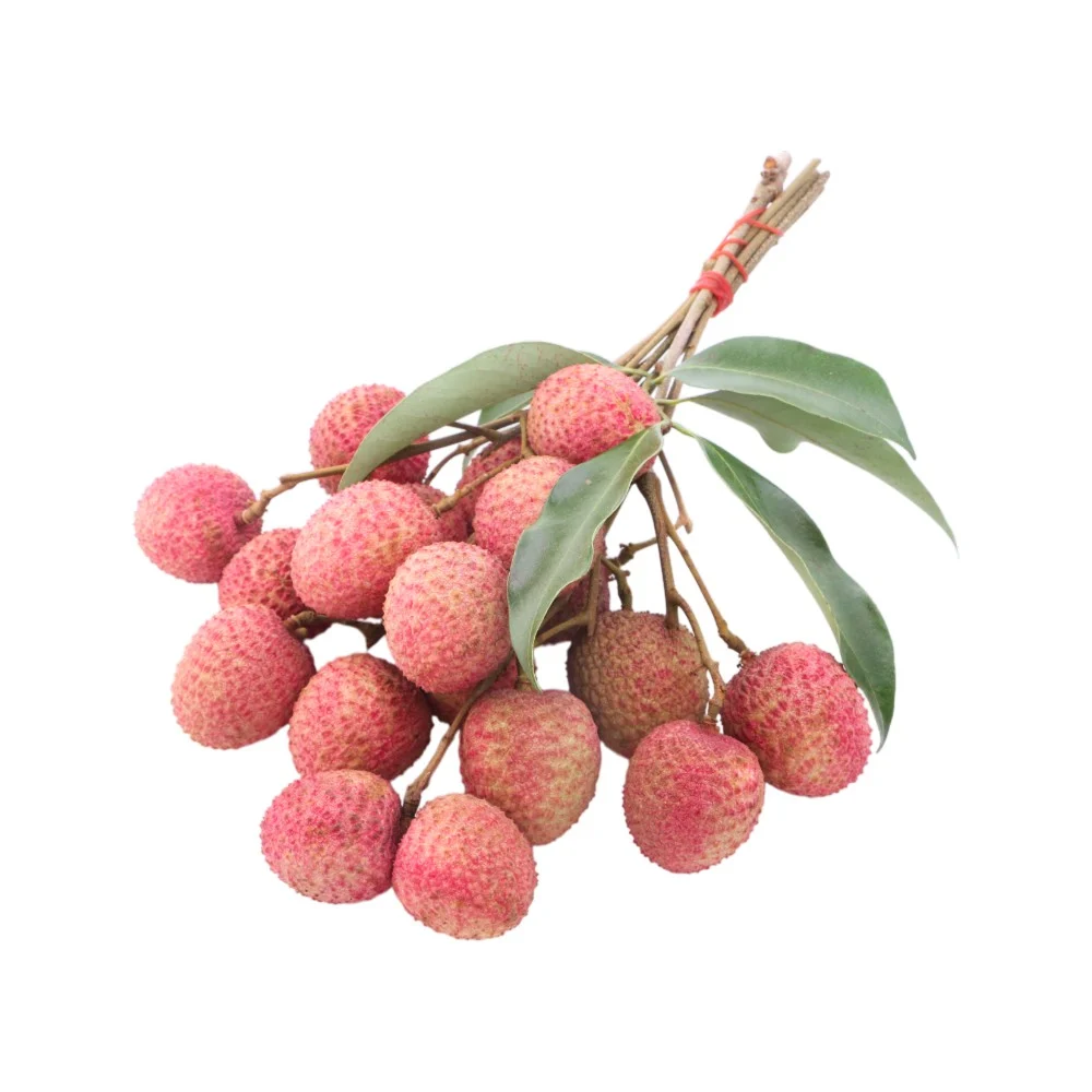 Litchi