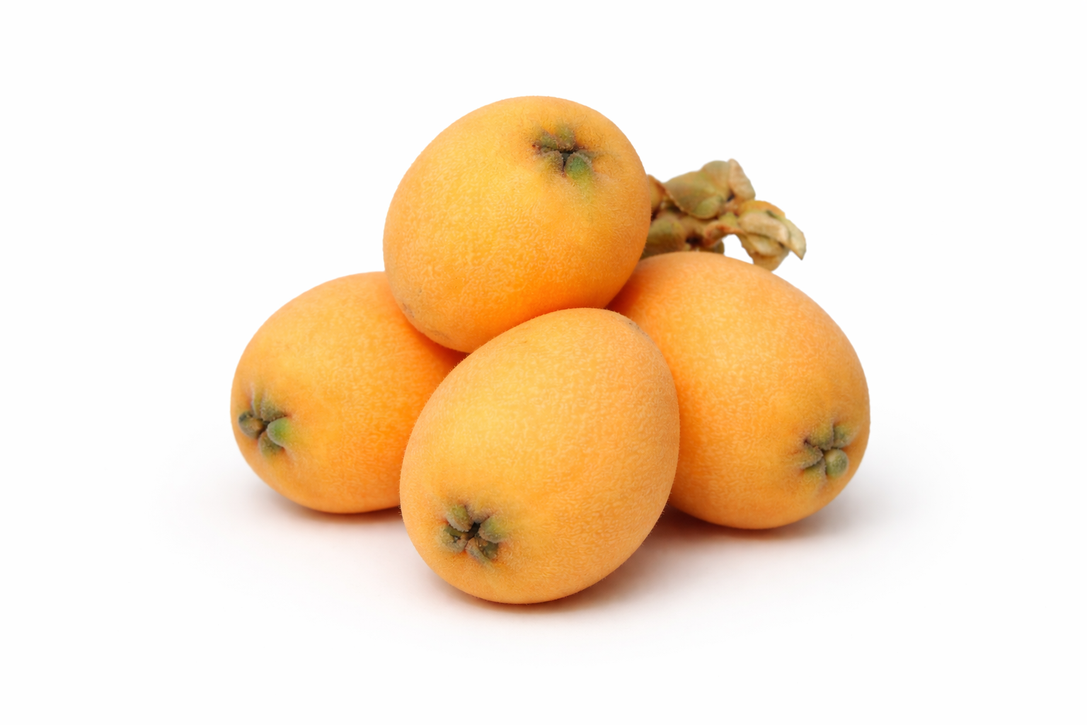 Loquat (450 - 500 gm)