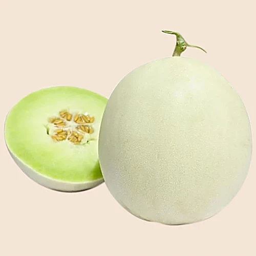 MADHUMATI MUSKMELON 1.8 KG TO 2 KG