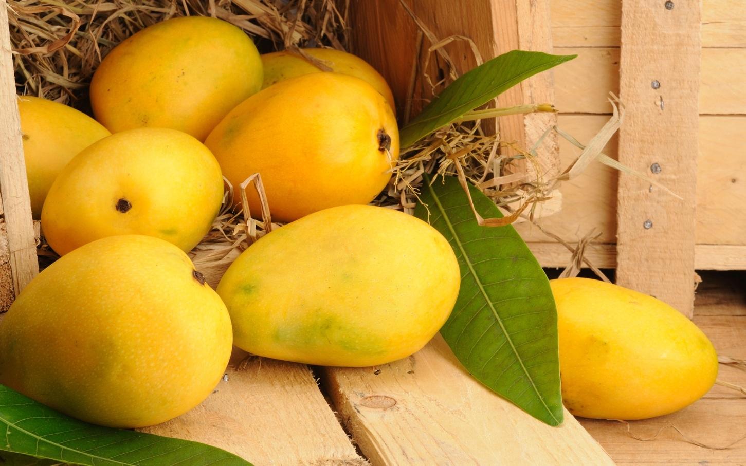 MANGO RAJAPURI