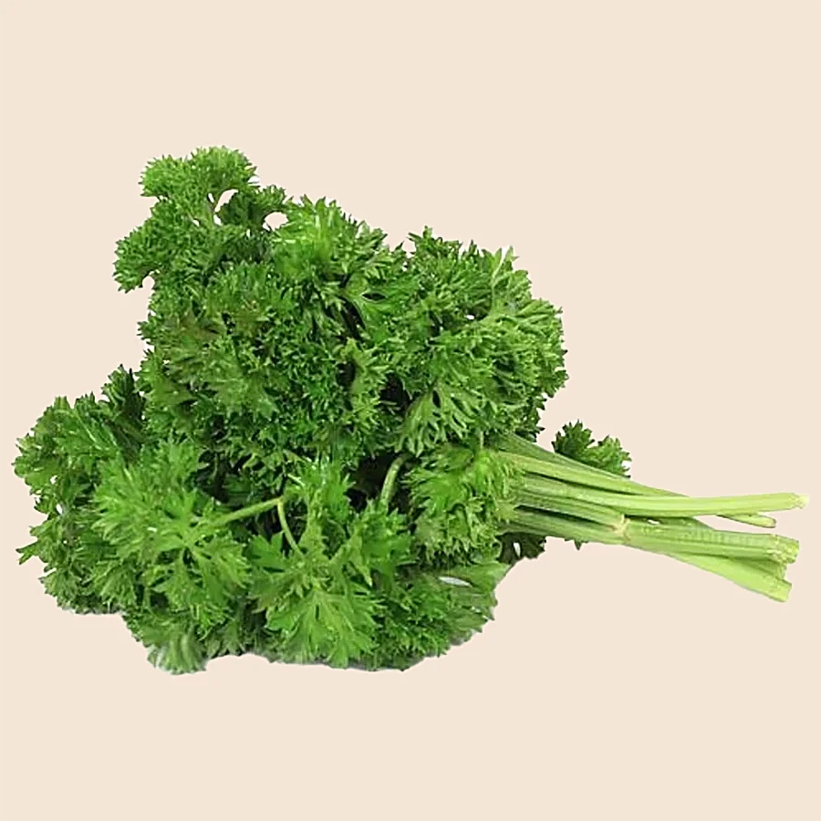 PARSLEY LEAVES 100GMS