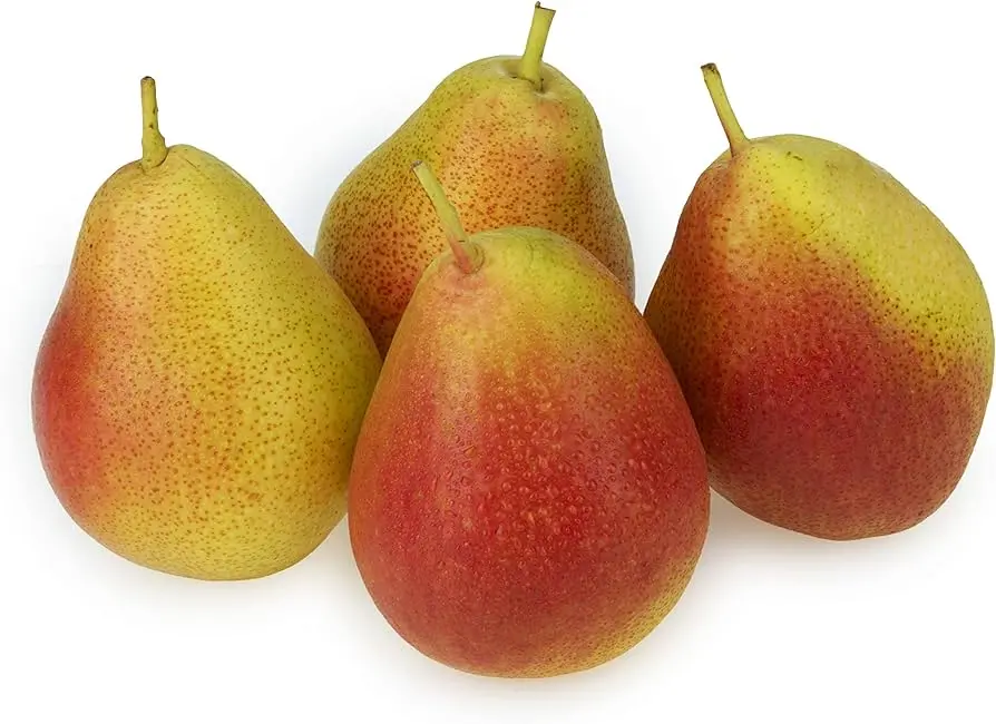 RED PEAR IMP 550-600GM