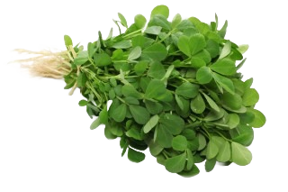 METHI A GRADE 450-500GM