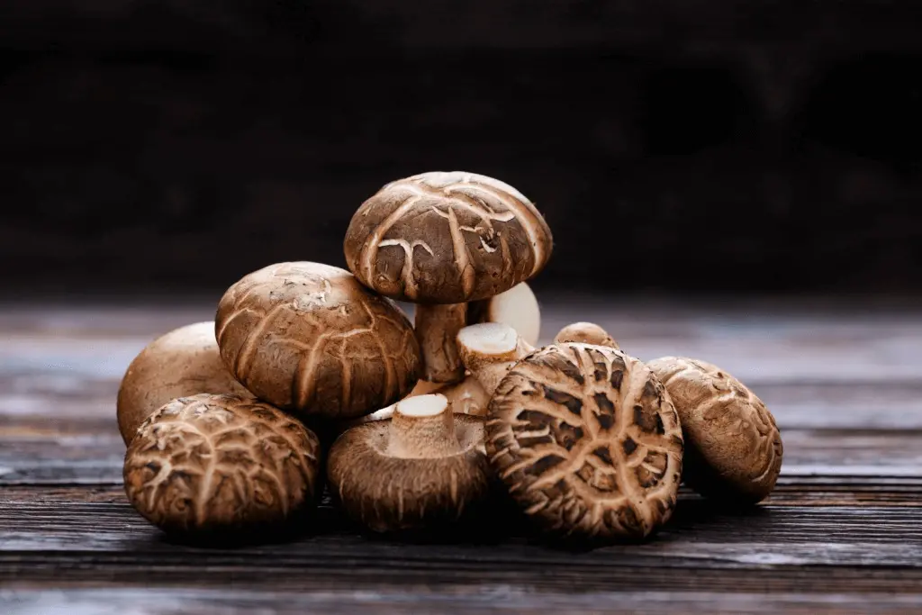 SHITAKE MUSHROOM BROWN - 100 GM