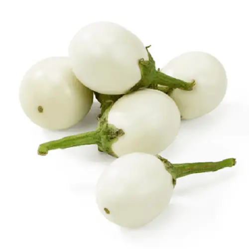 WHITE BRINJAL CHU CHU 450 -500GM