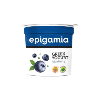 Epigamia Blueberry 85 g