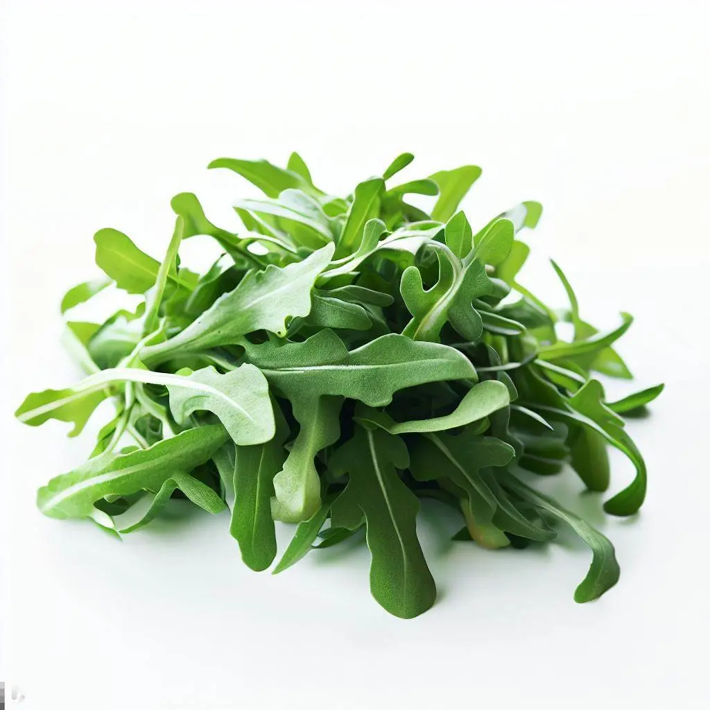 ARUGULA LEAF PKT 1PKT