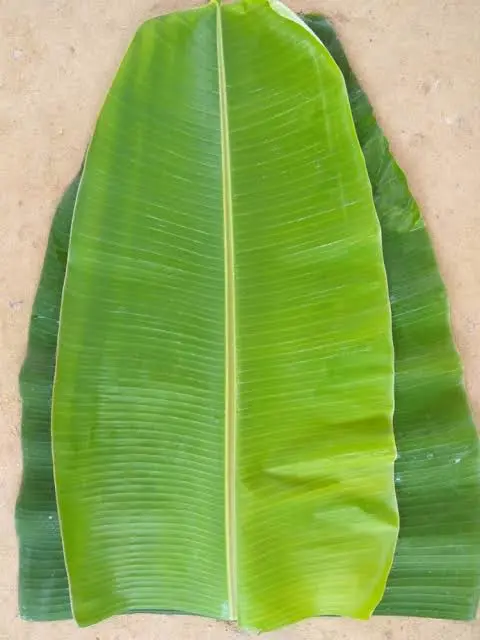 BANANA LEAF 1PCS