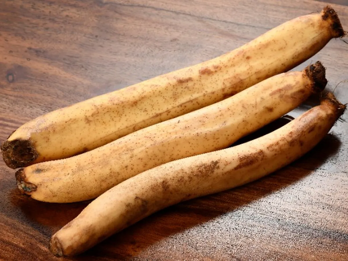 KAMALKAKRI A GRADE 500-600GM