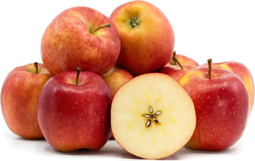 APPLE TESSA ITALY 450-500GM