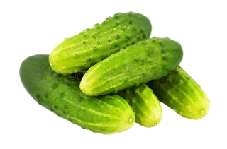 CUCUMBER DESI 550-600GM