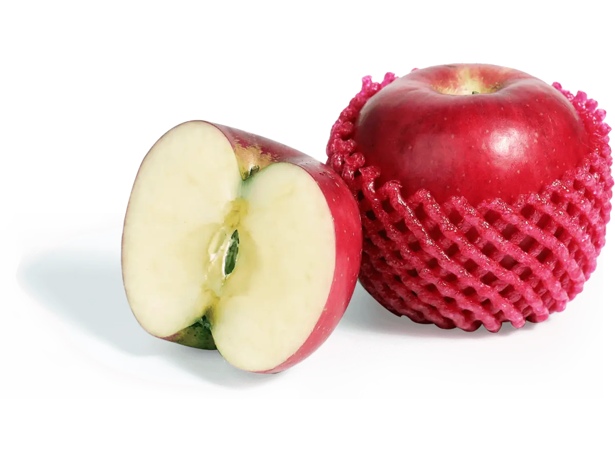 APPLE FUJI USA 450-500 GM