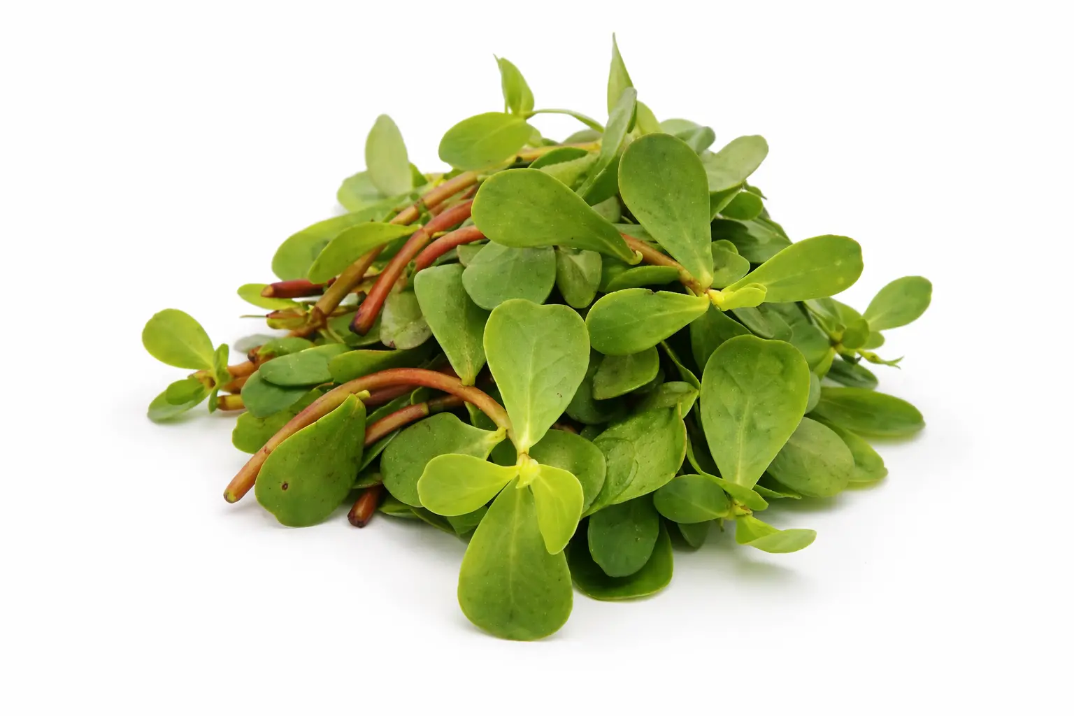 Kulfa Saag (250 - 300 gm)