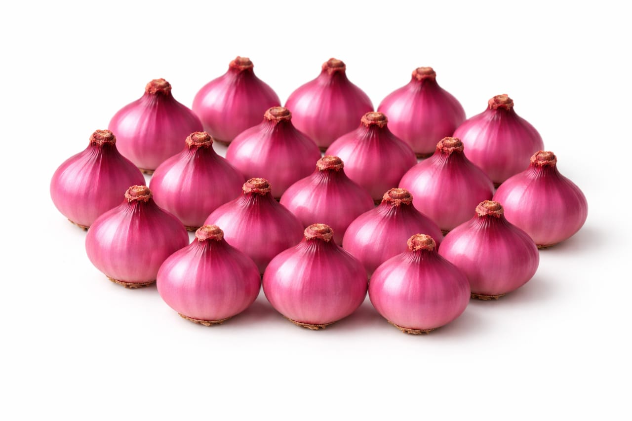 ONION SIRKA 1KG