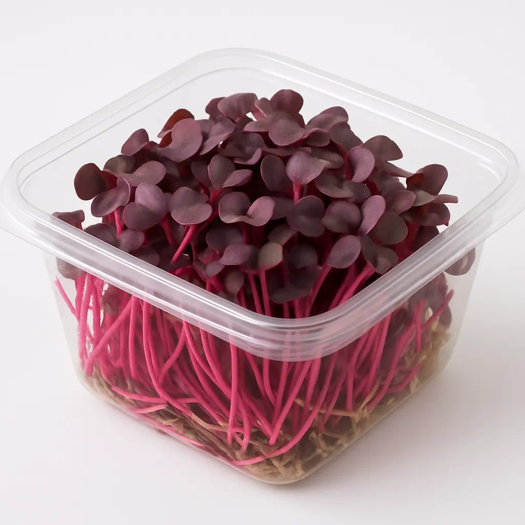 MICROGREENS RED MUSTARD  PKT