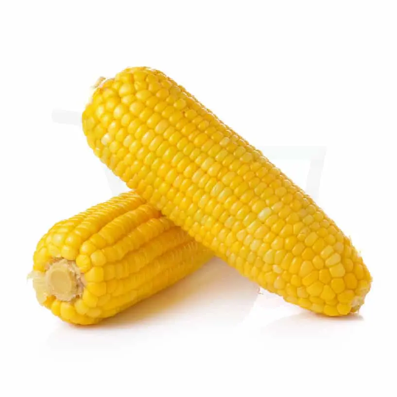 BHUTTA PKT