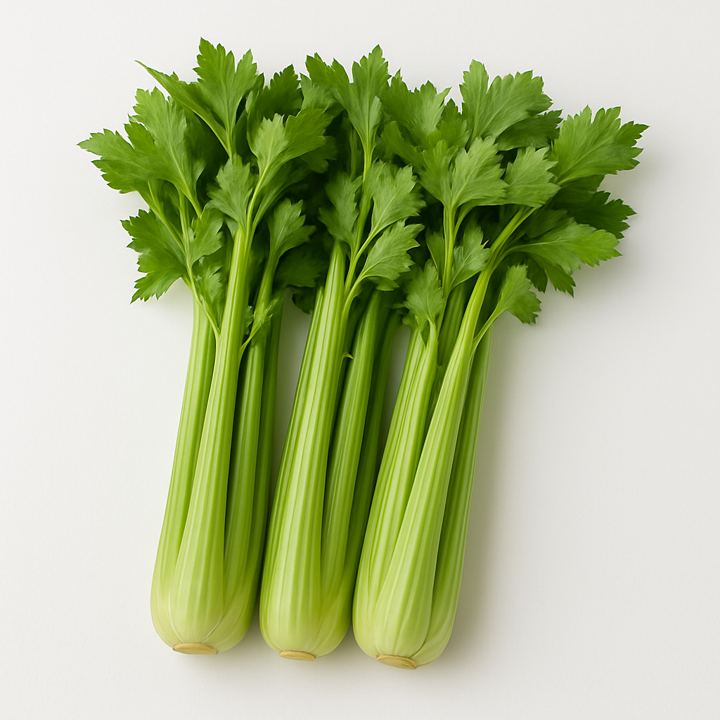 CELERY A GRADE 200-250 GM