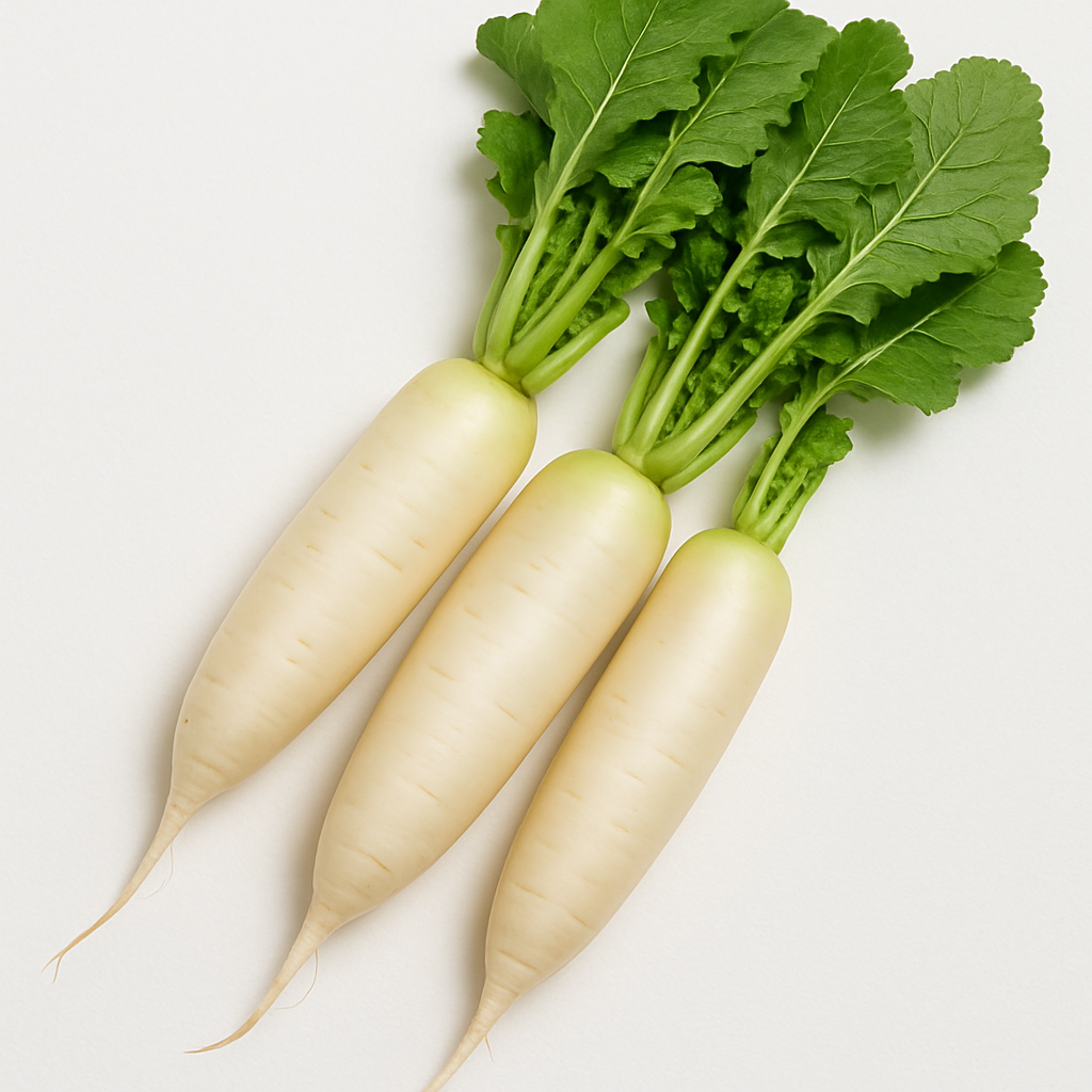 RADISH A GRADE 450-500GM