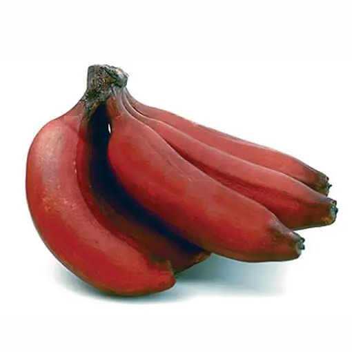 RED BANANA 450 -500GM