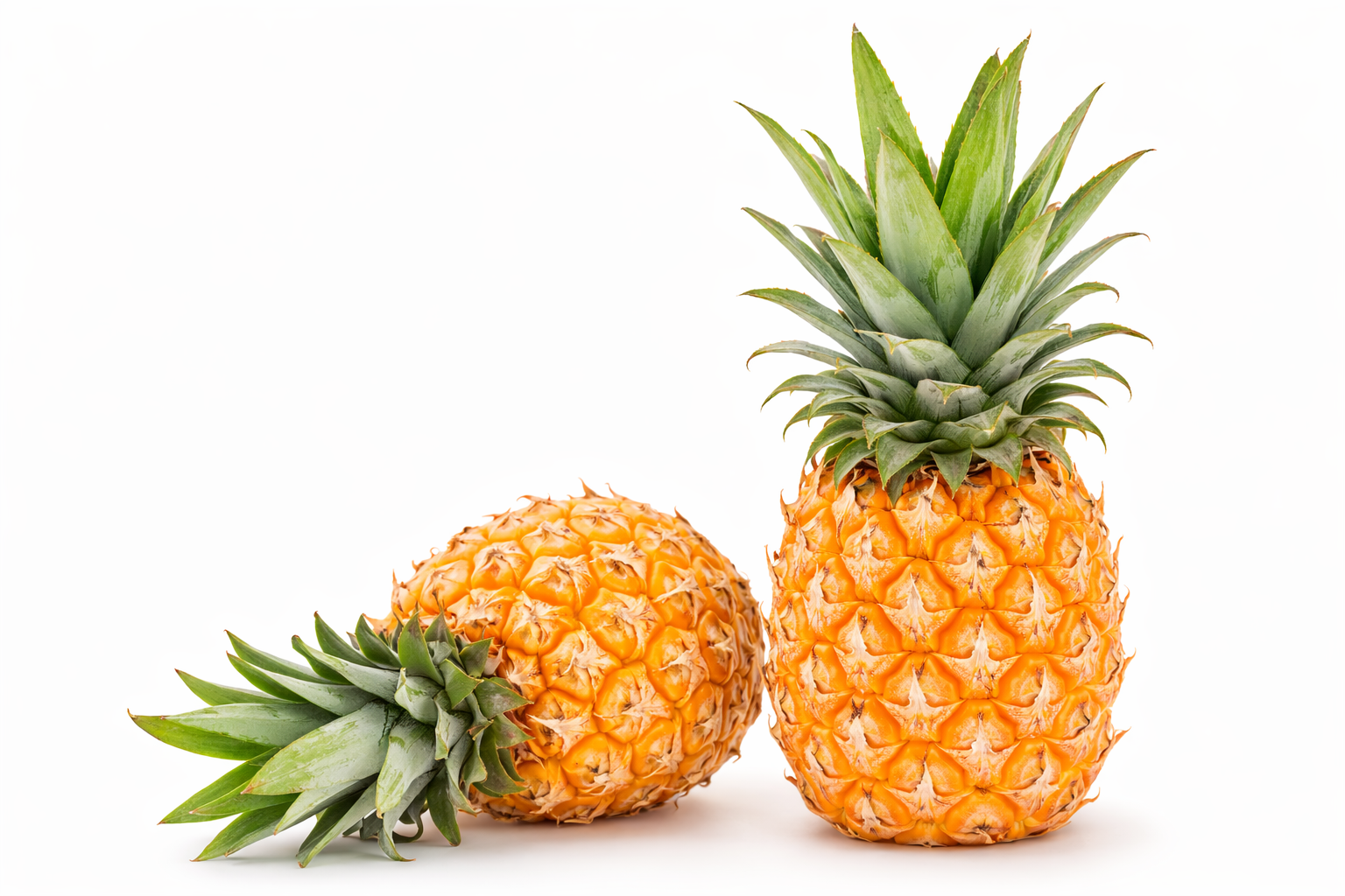 Baby Pineapple Imp - 1 Pc.